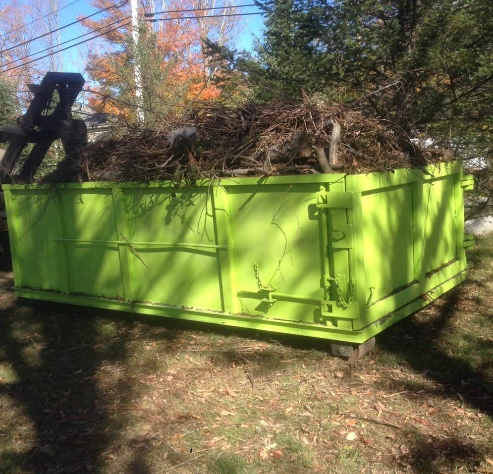 Tree Removal Dumpster Services, Riviera Beach Junk Removal and Trash Haulers