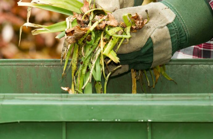 Yard Waste Dumpster Services, Riviera Beach Junk Removal and Trash Haulers